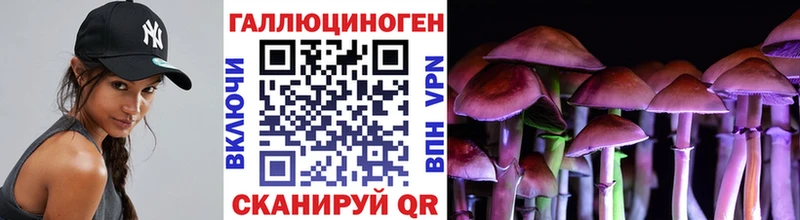 Галлюциногенные грибы Psilocybe  Нахабино 